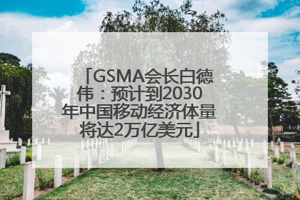 GSMA会长白德伟：预计到2030年中国移动经济体量将达2万亿美元