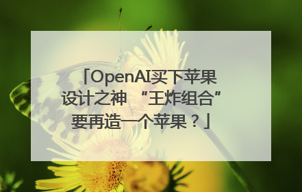 OpenAI买下苹果设计之神 “王炸组合”要再造一个苹果？