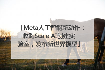 Meta人工智能新动作：收购Scale AI创建实验室，发布新世界模型